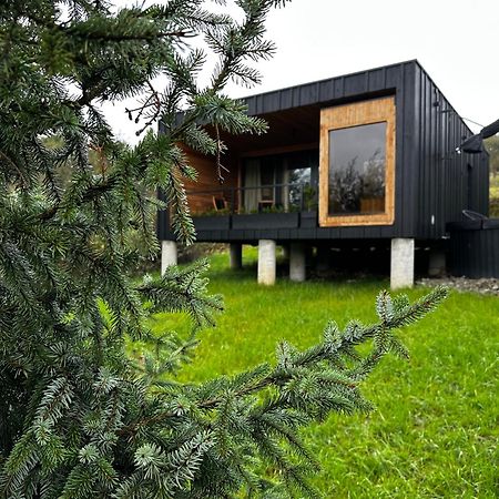 Brown Deer - Z Sauna Na Tarasie, Jacuzzi I Widokiem Na Gory - By Deer Hills Luxury Apartments Kocon Eksteriør billede