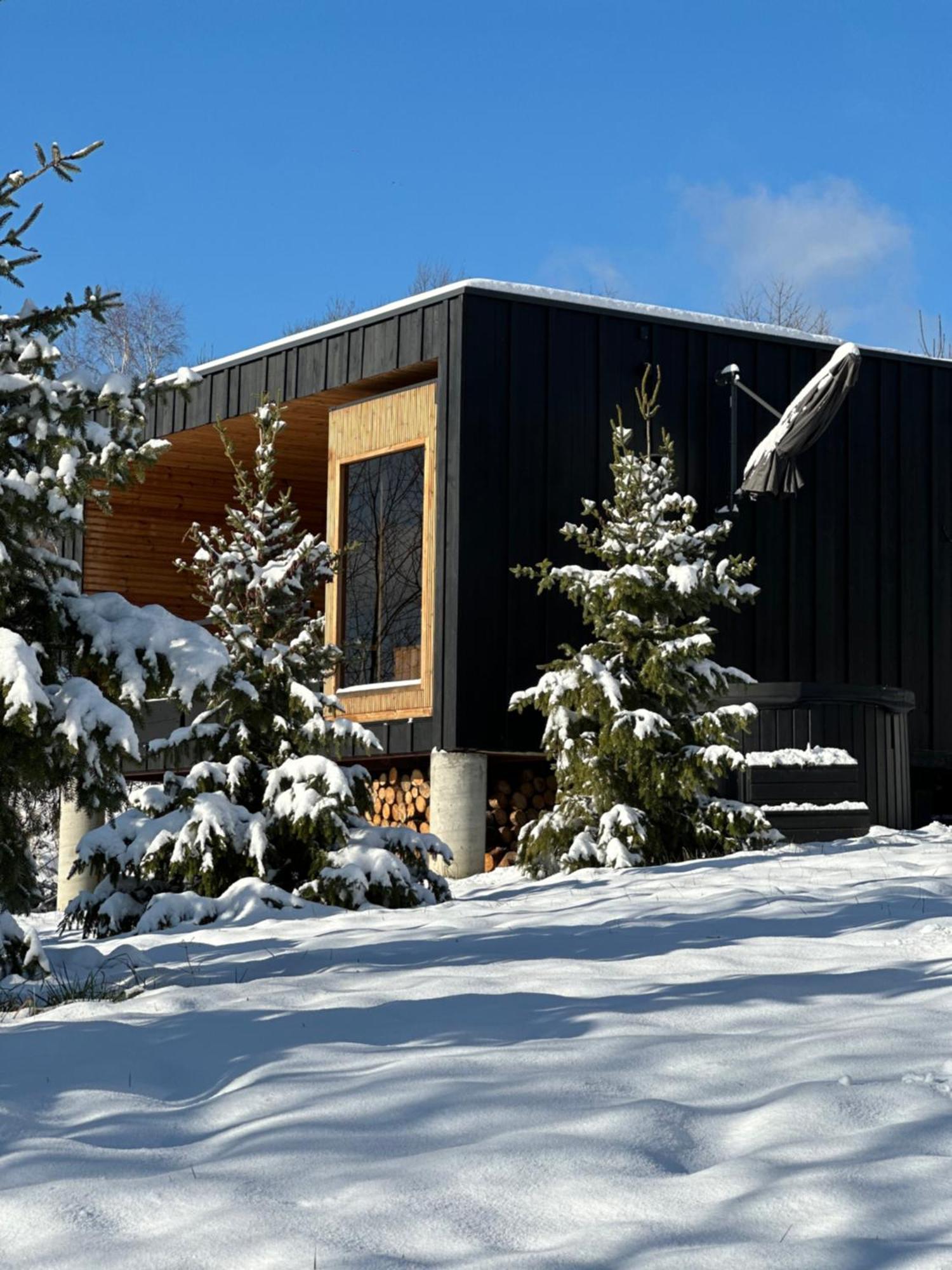 Brown Deer - Z Sauna Na Tarasie, Jacuzzi I Widokiem Na Gory - By Deer Hills Luxury Apartments Kocon Eksteriør billede